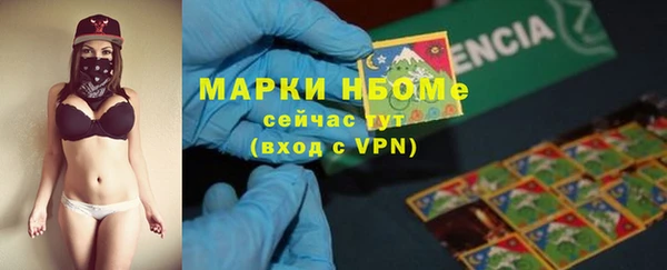 мдпв Богородицк