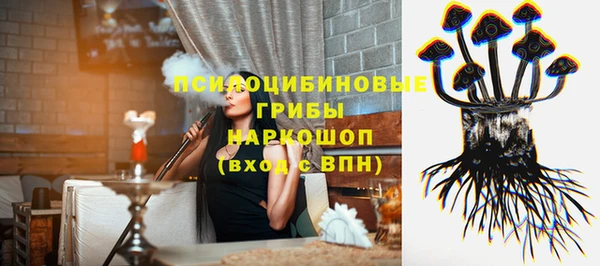 мдпв Богородицк