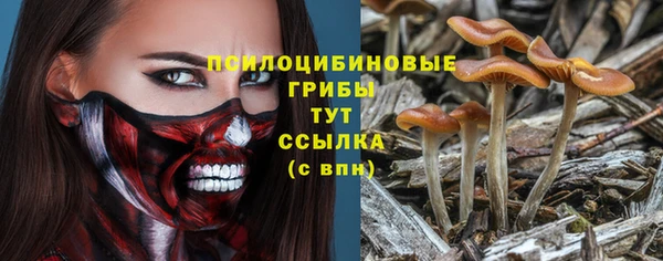 мдпв Богородицк